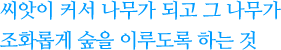 씨앗이 커서 나무가 되고 그 나무가 조화롭게 숲을 이루도록 하는 것